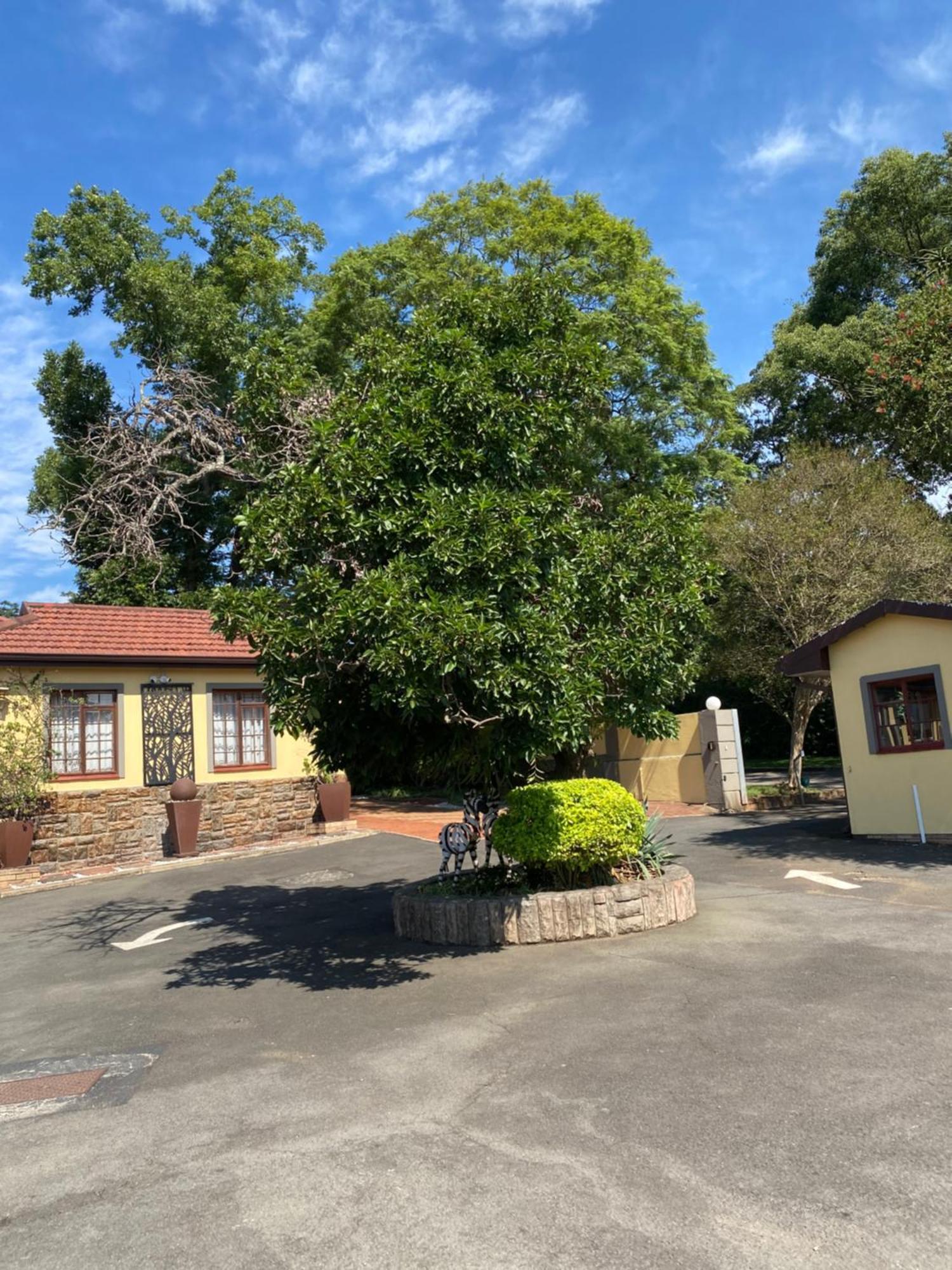 Madlula'S Guesthouse Пітермаріцбург Екстер'єр фото